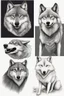 Placeholder: two wolves 1.honest wolf and 2.commercial wolf funny drawing by hand
