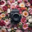 Placeholder: press camera from flowers