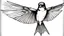 Placeholder: barn swallow, cool drawing, black and white, gritty, complete, realistic sketch, mix of bold dark lines and loose lines, tattoo