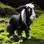 Placeholder: Icelandic goat as Batman