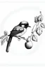 Placeholder: Pen drawing of small fluffy bird perched on a branch with round berries, minimalistic, realistic details, black and white, negative space,