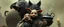 Placeholder: bad hairy chest wolf carrying a lovely scared wtf are you up to, chinese pig girl with dress under his arms, big cauldron in the background in the style of escher and fallout 4