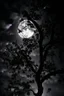 Placeholder: Night, tree leaves, moon, clouds, creepy gothic movies influence, photography