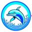 Placeholder: a avatar style illustration of a Dolphin.