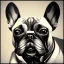 Placeholder: french bulldog from the future