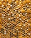 Placeholder: honeycombs and royal jelly 3d background