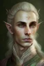 Placeholder: A portrait of a noble male Elf, a bit feminine