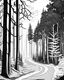 Placeholder: draw a forest road landscape with trees on the sides