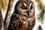 Placeholder: Brown Tawny Owl, pine tree, forest, autumn, dark night highly detailed intricate intricate details high definition crisp quality beautiful lighting pencil sketch watercolor dramatic lighting Deep shadows Warm colors warm light