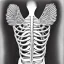 Placeholder: angel rib cage