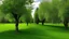 Placeholder: trees in the middle of the garden close to camera, apple tree on the left plum tree on the right cherry tree in the middle in the on the green grass