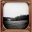 Placeholder: Daguerrotype frame old landscape odd creepy grey obsessive nostalgia weird old postcard landscape, cespugli, rovi