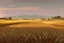 Placeholder: road wheat field byphil hale