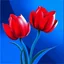 Placeholder: Create red tulip and blue background