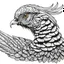 Placeholder: create a coloring book page of a realistic golden phesant , high contrast, easy to color, black and white, vector,