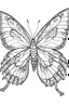 Placeholder: outline art for Butterflies coloring pages with sitch, white background, Sketch style, full body, only use outline, dementia patients style, clean line art, white background, no shadows and clear and well outlined.