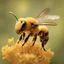 Placeholder: Happiness Oldman healthy in a planet of honey stingless bee, realistic