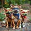 Placeholder: Teenage Mutant Ninja Canines.