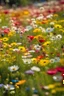 Placeholder: A field of wildflowers in full bloom, creating a kaleidoscope of colors under the bright sunlight. Ultra Realistic, National Geographic, Fujifilm GFX100S, 100mm telephoto lens, f/5.6 aperture, afternoon, macro, Provia 100F film