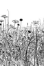 Placeholder: Outline art, line art, field of wild flowers, cartoon style, black and white, low detail, no shading, --ar 9:11