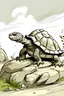 Placeholder: tortoise hitting the rock (cartoon, sketch)