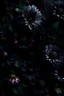 Placeholder: pretty dark flowers