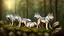 Placeholder: wolves on a large rock in the forest