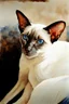 Placeholder: Steve Hanks watercolor,Siamese cat, blue eyes,chocolate point color, Syphnx cat