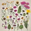 Placeholder: delicate arrangement of pressed flowers, beautiful composition, aesthetic layout, wildflowers, fine lineart