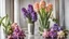 Placeholder: Colorful hyacinths in the mirror