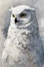 Placeholder: ink wash and watercolor full body illustration of a hybrid Snowy Owl girl with highly detailed feathers and facial features in the comic book style of Bill Sienkiewicz and Jean Giraud Moebius, with a fine art aesthetic, highly detailed , 4k UHD cinegraphic quality