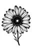 Placeholder: black daisy flower VECTOR illustration white background