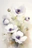 Placeholder: watercolor painting of anemone flowers, highly detailed, in the style of Richard Schmid, perfect composition, minimalistic, masterful, skillfully painted, natural colors, vivid, white background