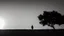 Placeholder: Lone man walking away into the sunset