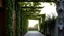 Placeholder: A modern architectural design featuring a linear pergola structure covered in lush green ivy, creating a natural canopy overhead. The pergola extends into the distance, framing a serene landscape. To the left, a building facade with vertical wooden planks and a hint of reddish-brown trim is visible, suggesting a contemporary dwelling. A narrow pathway, possibly made of light-colored gravel or sand, runs alongside the pergola, reflecting the soft, warm light of either dawn or dusk. A large, grey
