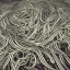 Placeholder: spiritual tentacles wrapping around people's memories