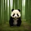 Placeholder: panda in the bamboo forest