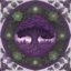 Placeholder: realistic photographic image of purple and green mandala with forest, muschrooms, roots, trees, ferns, animals