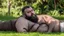 Placeholder: close up photography of a chubby sensual bearded marocan burly ugly stocky 65 years old , relaxing on the grass , in a garden, sunlight, manly chest with tank top, short pants, open legs, photorealistic, side view, ambient occlusion