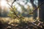 Placeholder: An branch, natural volumetric cinematic perfect light, 135mm, photorealistic, no bokeh, good depth of field, award winning photo, beautiful composition, 16k, HDR, sharp focus, masterpiece