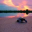 Placeholder: turtle and pink sky