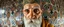 Placeholder: fish eye lense, pin hole cam, master oil painting by Rembrandt, realistic rendering Portrait of the Apkallu sage who were sent by the god Ea to teach civilization to humanity before the flood. They were depicted as half-human and half-fish or bird, and were associated with wisdom, magic, and culture. blurred tile yin yang pattern background, brightened edges to give a sense of depth