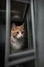 Placeholder: Cat hiding behind a glass wall