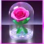 Placeholder: transparent multicolor crystal rose