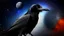 Placeholder: Crow in a space an the background of planets