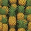 Placeholder: Pineapple concept analysis