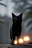 Placeholder: The color black
