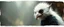 Placeholder: 3d airbrush render, white fluffy gnome native panda elf alien dodo , pinhole cam, airbrush 3d rendering, in the style of Titian and Dali , torn edges on border