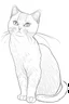 Placeholder: A cat simple drawings for coloring