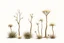 Placeholder: "Isolated concept art of multiple types of alien tree plant on a plain neutral background. Designed for Desert biome – dry, spiky, brittle grass with sharp edges, thorn-like blades, and pale dusty colors